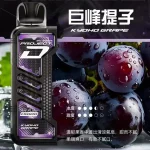 一次性電子煙 ZGAR Project D 冰熊卡帶｜約15000口｜磁吸快拆｜700mAh可充電｜口味-巨峰青提