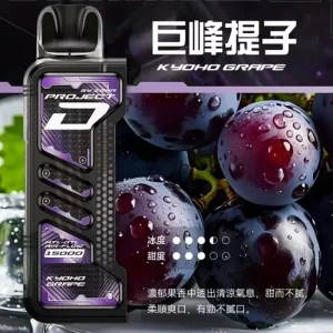 一次性電子煙 ZGAR Project D 冰熊卡帶｜約15000口｜磁吸快拆｜700mAh可充電｜口味-巨峰青提