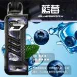 ZGAR Project D 冰熊卡帶煙彈｜約15000口｜15款口味 藍莓