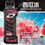 一次性電子煙 ZGAR Project D 冰熊卡帶｜約15000口｜磁吸快拆｜700mAh可充電｜口味-西瓜冰
